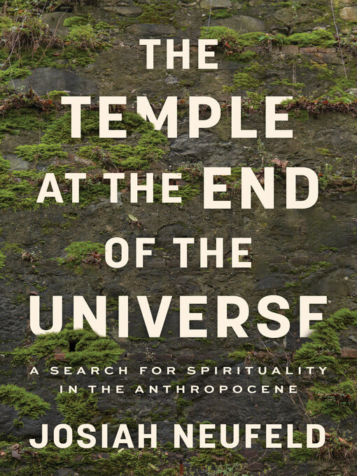 Cover image for The Temple at the End of the Universe